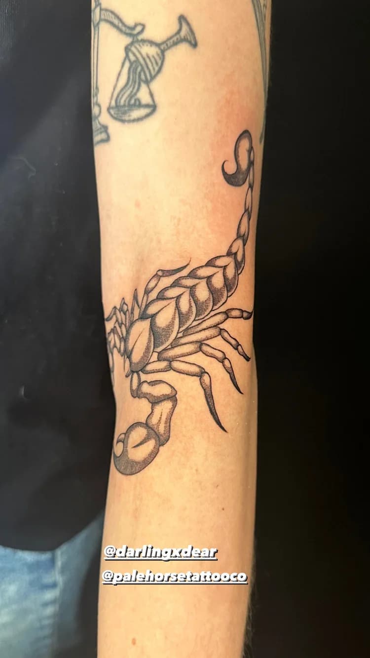 Black and gray scorpion tattoo on a person's forearm with line work details